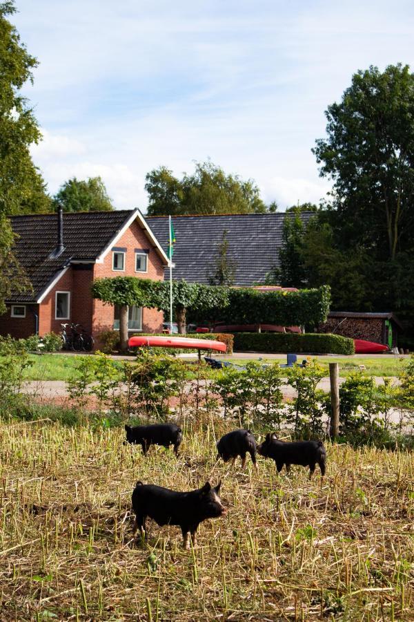Hakuna Matata Peddelenzo Kiel-Windeweer Exterior foto